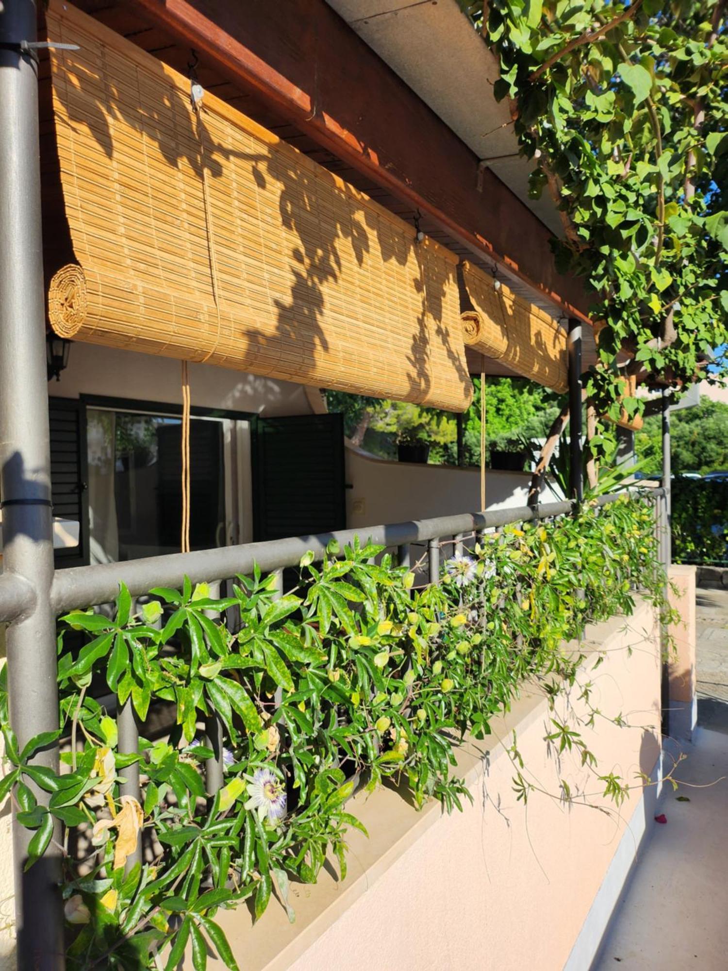 Apartmani Dijana Podgora Rum bild